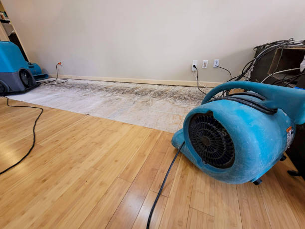 Professional Water Damage Repair technician working in Liberty Center, OH